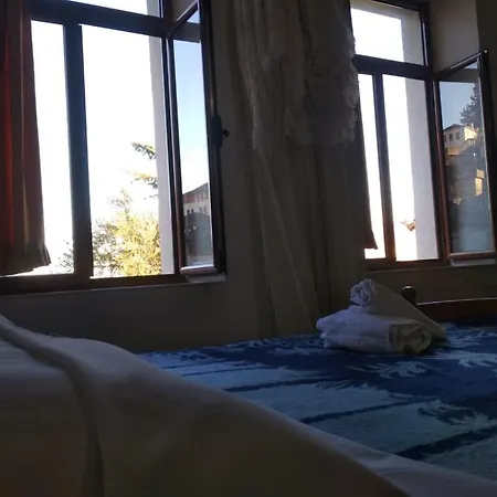 Guesthouse Celos *